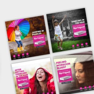Springwell Social Media