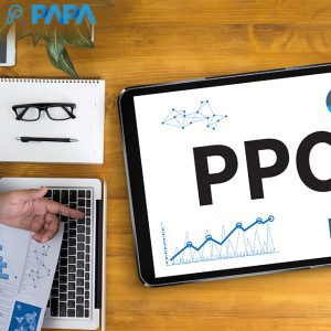 papa brand ppc