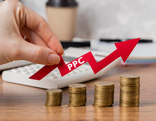 E-commerce PPC Services